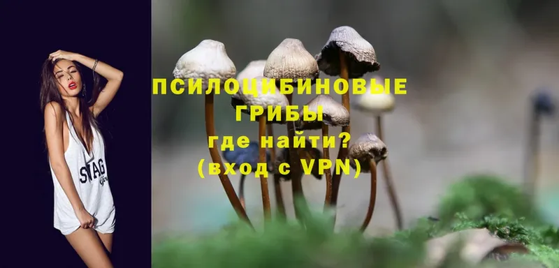 Псилоцибиновые грибы Psilocybine cubensis  мориарти формула  Александровск-Сахалинский 